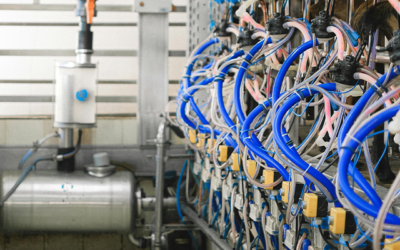 How to Choose the Right Wire Harness Assembly Partner for Your Business